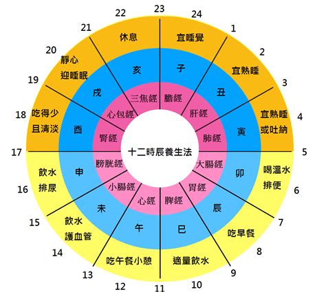 身體五行時間